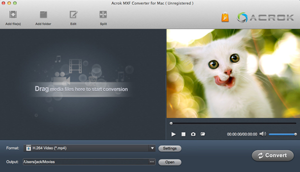 Best MXF to MP4 Converter free download