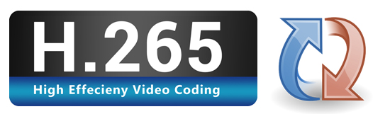 Best H.265 Video Converter for Windows 10