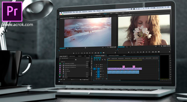 Adobe Premiere Pro Cc Cs6 Cs5 Cs4 Supported Formats Video Audio Image