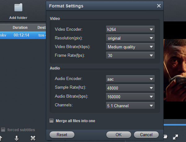 Lumix BS1H H.265 Video Converter - Settings