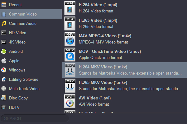 Rip and convert Blu-ray to MKV format