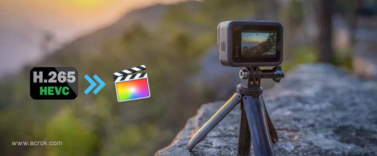 hevc gopro