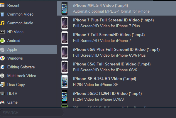 iPhone 15 Supported Formats