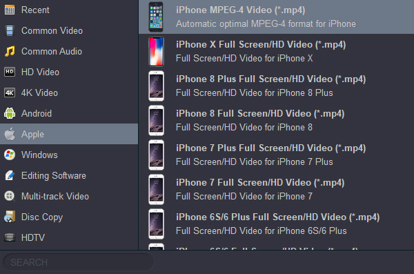 Covnert MKV to iPhone supported format