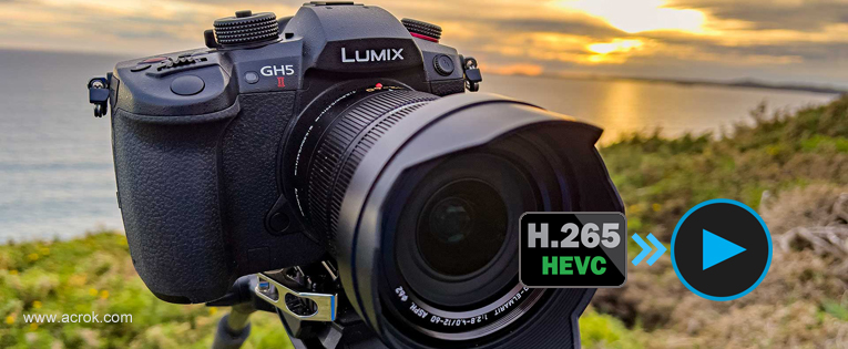 Panasonic Luix GH5 II H.265 MOV to Vegas Pro Workflow