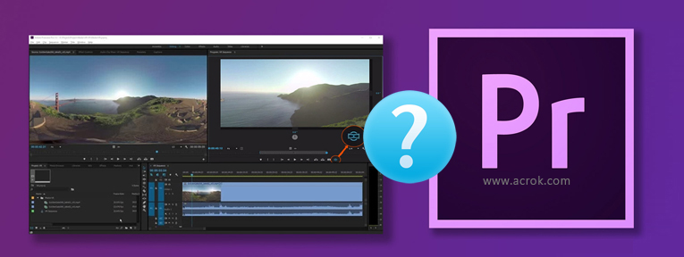 lotus Goods Individuality Premiere Pro Supported Formats - Video/Audio