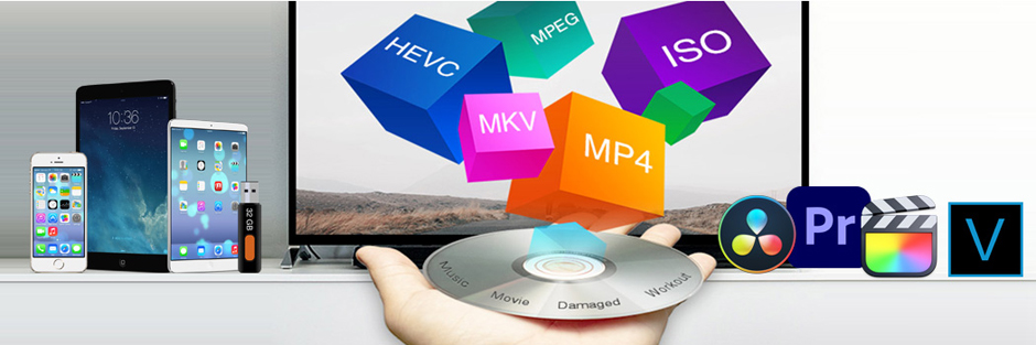 Best DVD Ripper for Mac and Windows