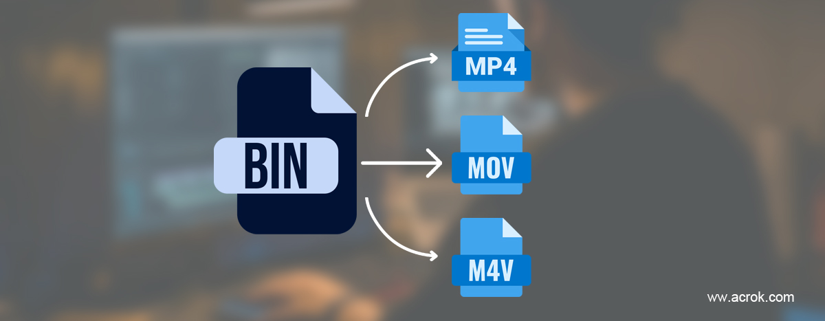 BIN Video Converter - Convert BIN File to MP4/MOV/M4V Online Free