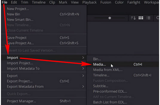 BRAW to MP4 Converter - Import