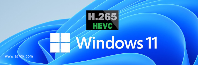 Best H.265 Video Converter for Windows 11 - 2022