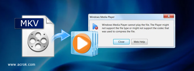 play MKV in Windows Media Player for free
