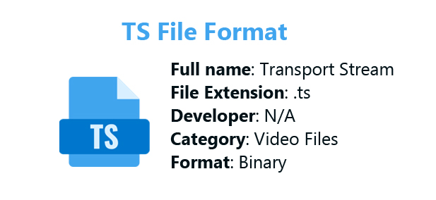 TS Video Format