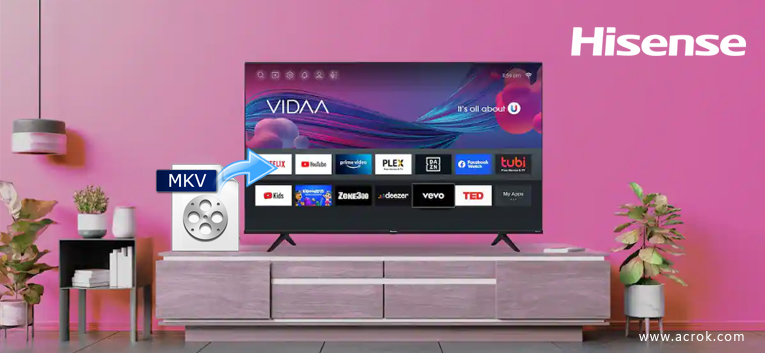 Watch MKV files on Hisense TV