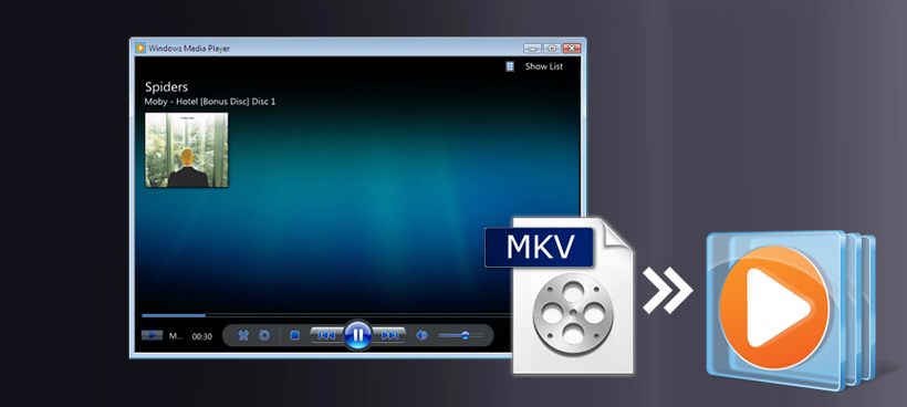 play H.265/HEVC MKV on Windows Media Player
